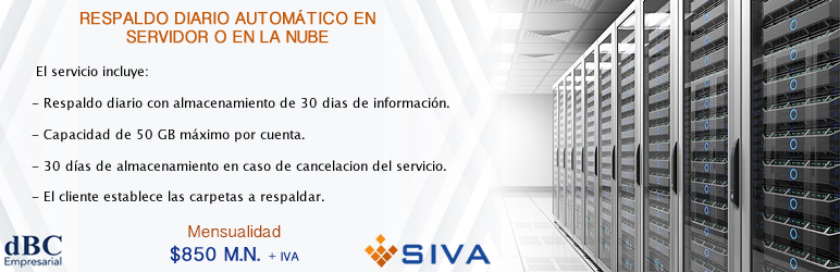 Respaldo en Servidor